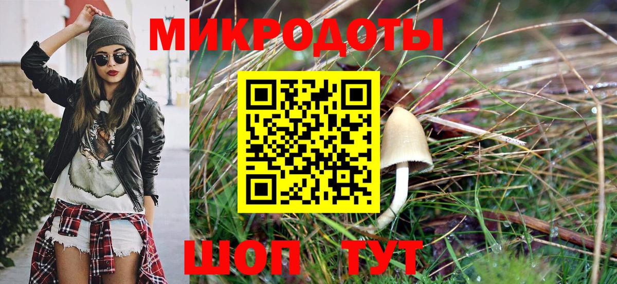 Галлюциногенные грибы мицелий Изобильный