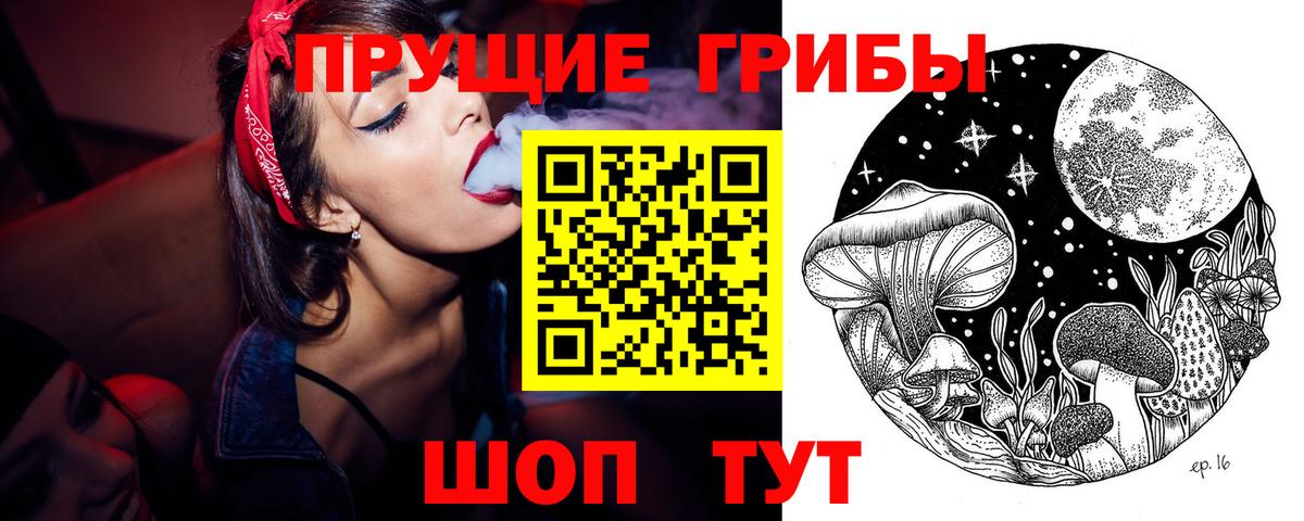 Галлюциногенные грибы Psilocybine cubensis  Галлюциногенные грибы мицелий  Вход с VPN  Изобильный 