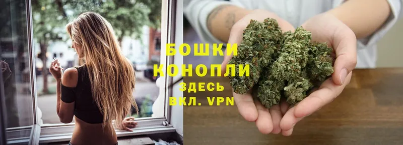 Бошки марихуана OG Kush  Изобильный 